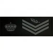 Divisa pecho Oficial Policía Nacional baja visibilidad